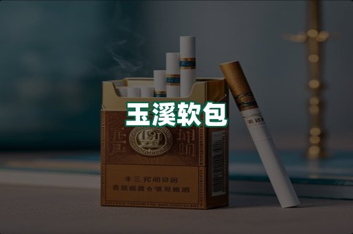 玉溪软包
